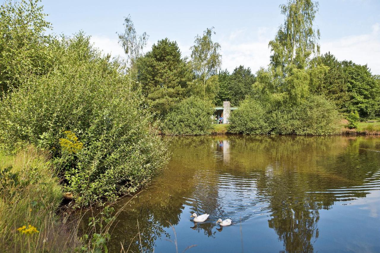 Center Parcs Limburgse Peel Limburg-Brabant Hotel America Kültér fotó